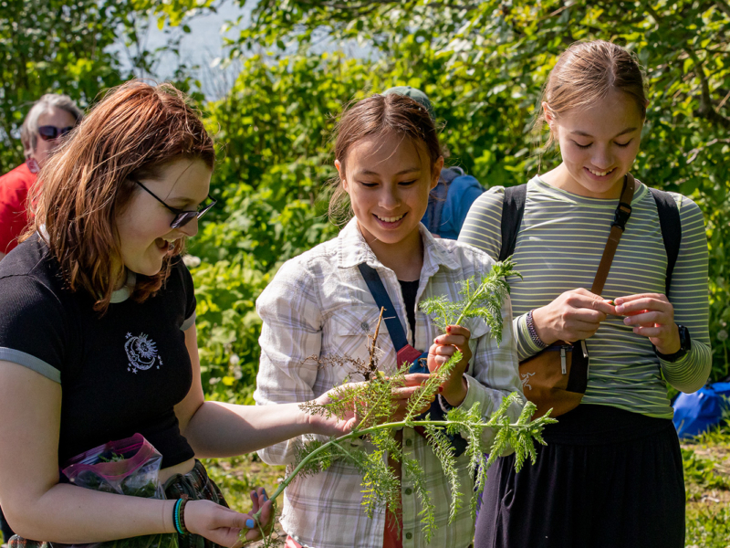 SHI's STEAM for High Schools